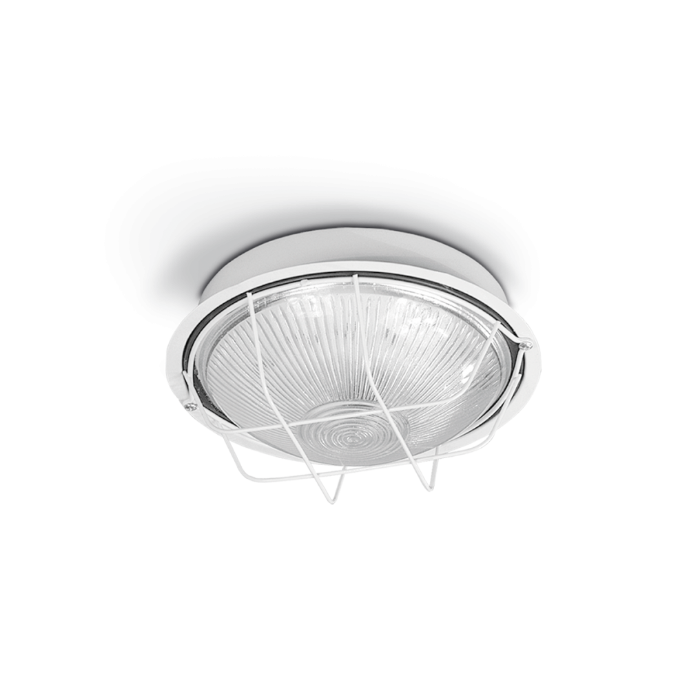 TORTUGA REDONDA CHICA BLANCO