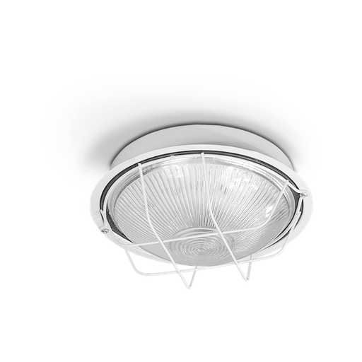 [8300-01/SJ] TORTUGA MET REDONDA GDE BLANC